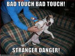 The sympathetic nervous system at work