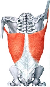 lat-extension